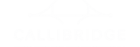 logo 8 callibridge blanc sur fond transparent.png